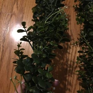 (5) faux plastic greenery for wedding. 6’
